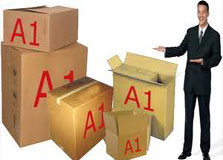 A1 Packers and Movers in Bhopal